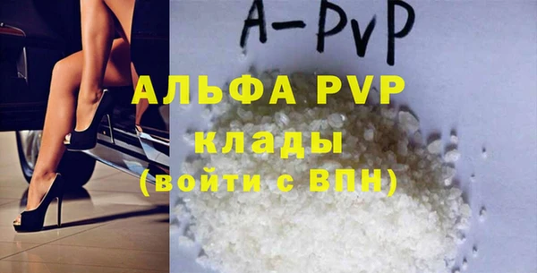 PSILOCYBIN Бронницы