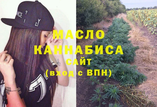 спиды Бородино