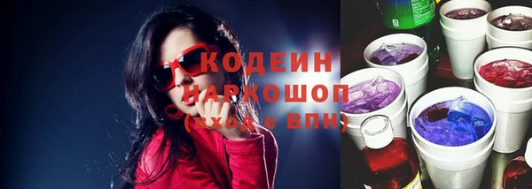 спиды Бородино