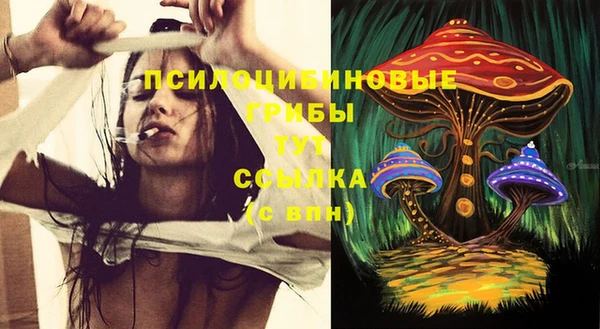спиды Бородино