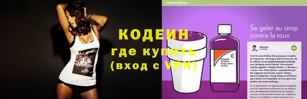 спиды Бородино
