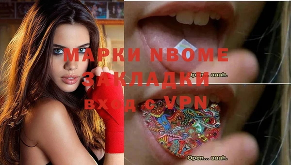 спиды Бородино