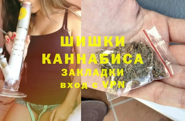 PSILOCYBIN Бронницы