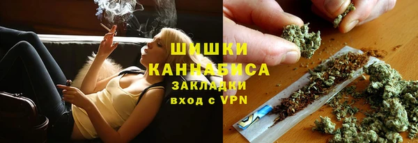 спиды Бородино
