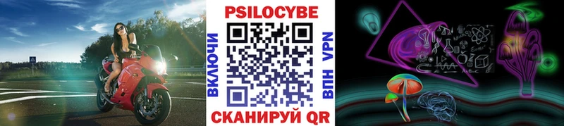 Псилоцибиновые грибы Cubensis  Нюрба 